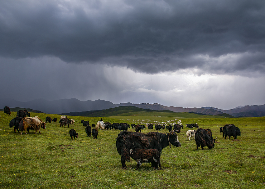 Bercuti di Tempat Sejuk, Elak Cuaca Panas