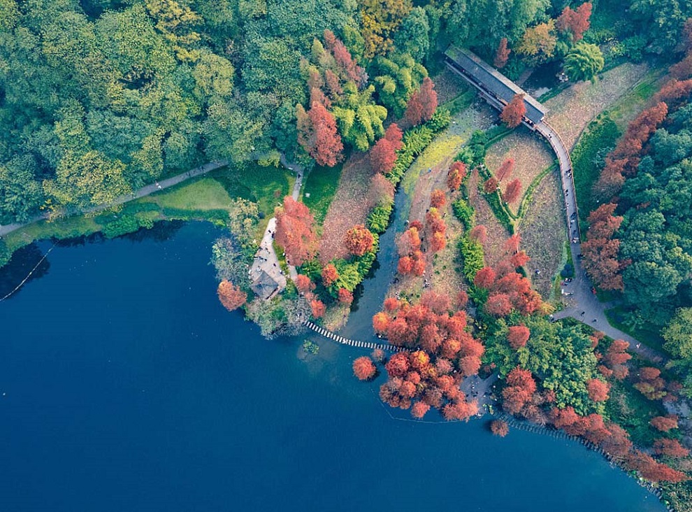 Tanah Paya yang Indah Permai