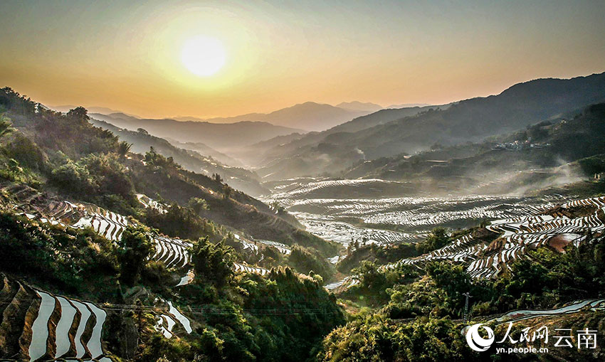 Tiba Musim Semai Padi di Sawah Teres Yunnan