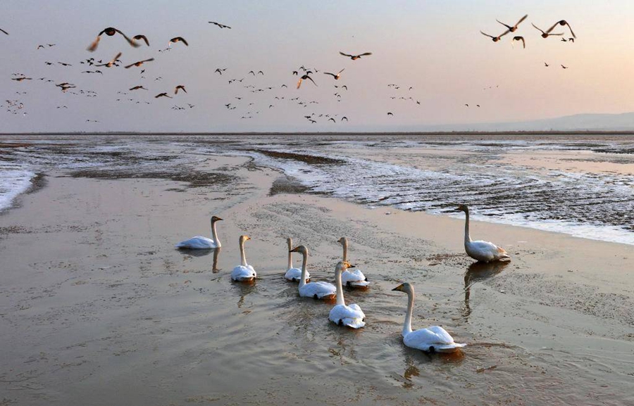 Undang-Undang Perlindungan Sungai Kuning Berkuat Kuasa