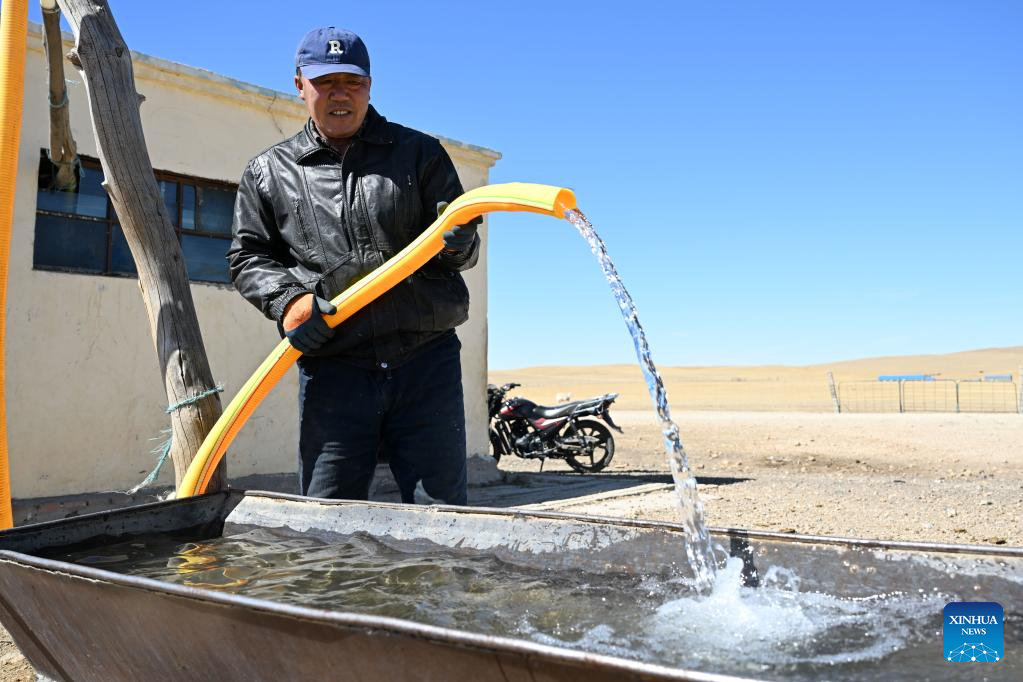 Musim Paling Sibuk bagi Gembala di Mongolia Dalam