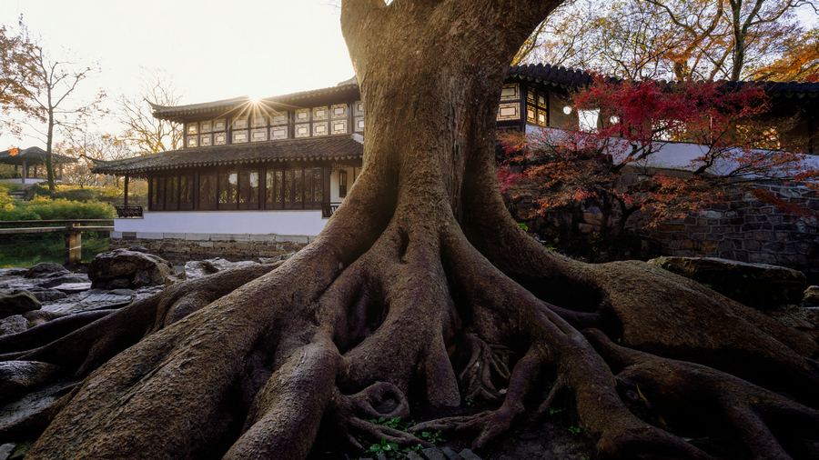 Foto Pemenang Anugerah Abadikan Taman Suzhou