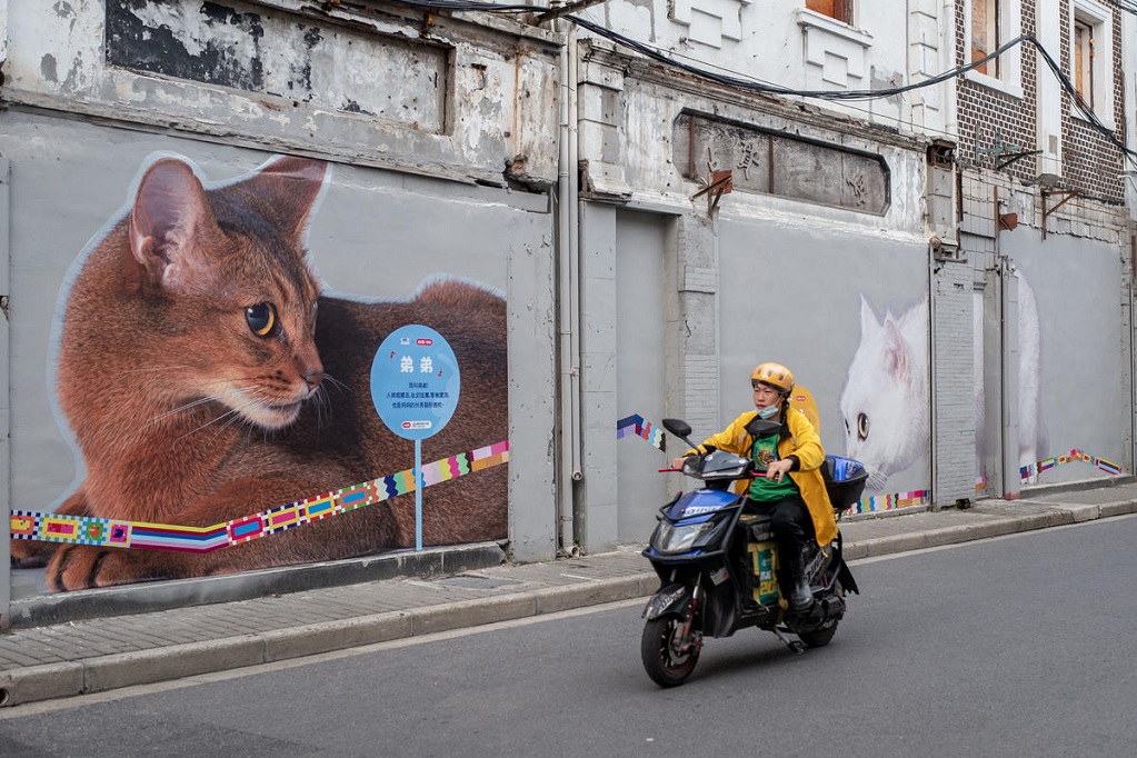 Mural Kucing Hiasi Jalan Bersejarah di Shanghai
