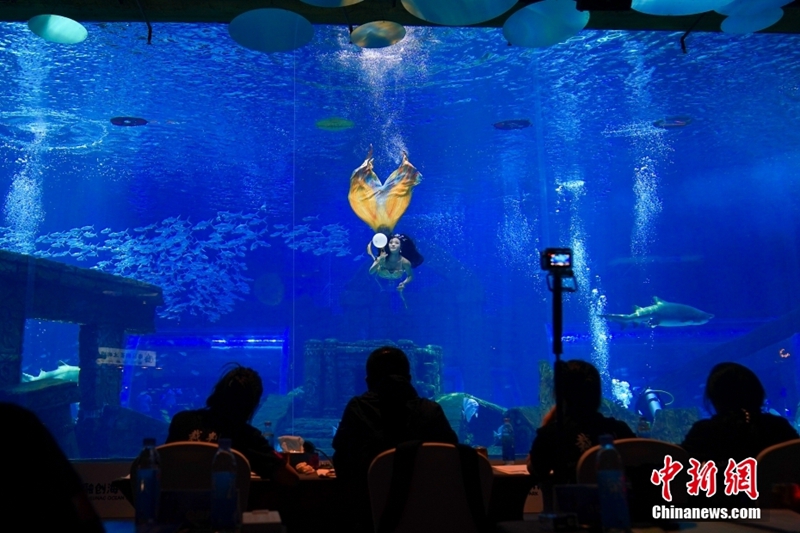 Pertandingan Terbuka Mermaid China Buka Tirai