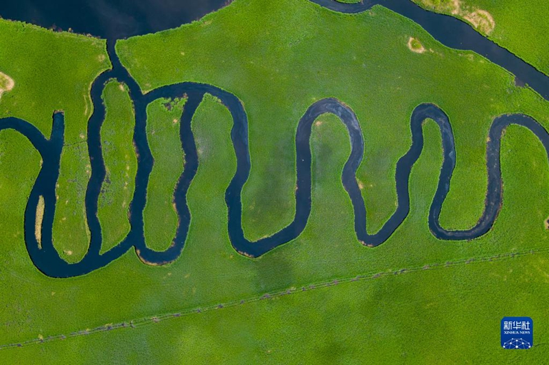 Tanah Lembap Terlindung Baik, Gamit Kehadiran Burung Jenjang