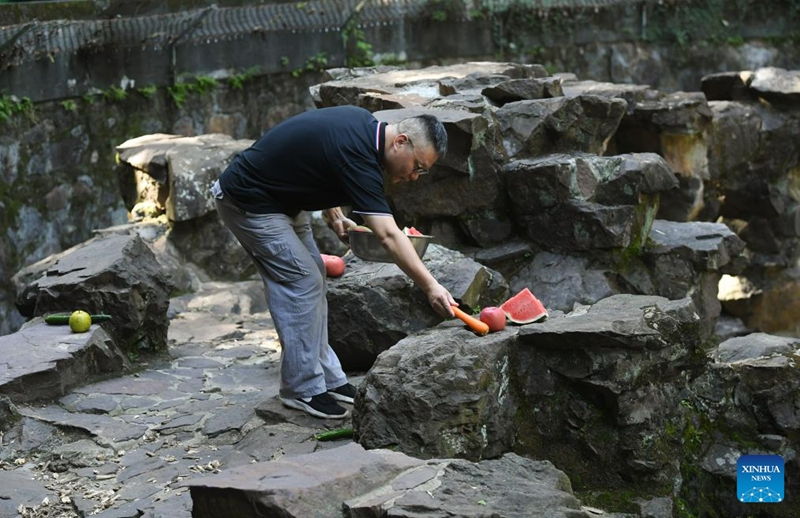 Beruang Madu Gamit Pelancong ke Zoo Hangzhou