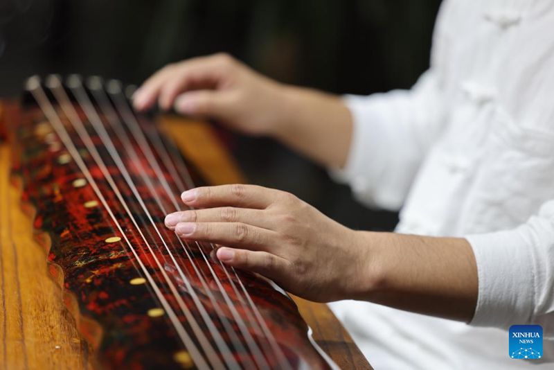 Paulownia Mekar di Lankao, Jadi Alat muzik