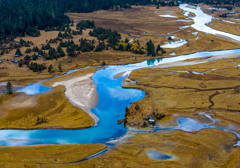 Pemandangan Musim Luruh di Linzhi Bagai Lukisan Hidup