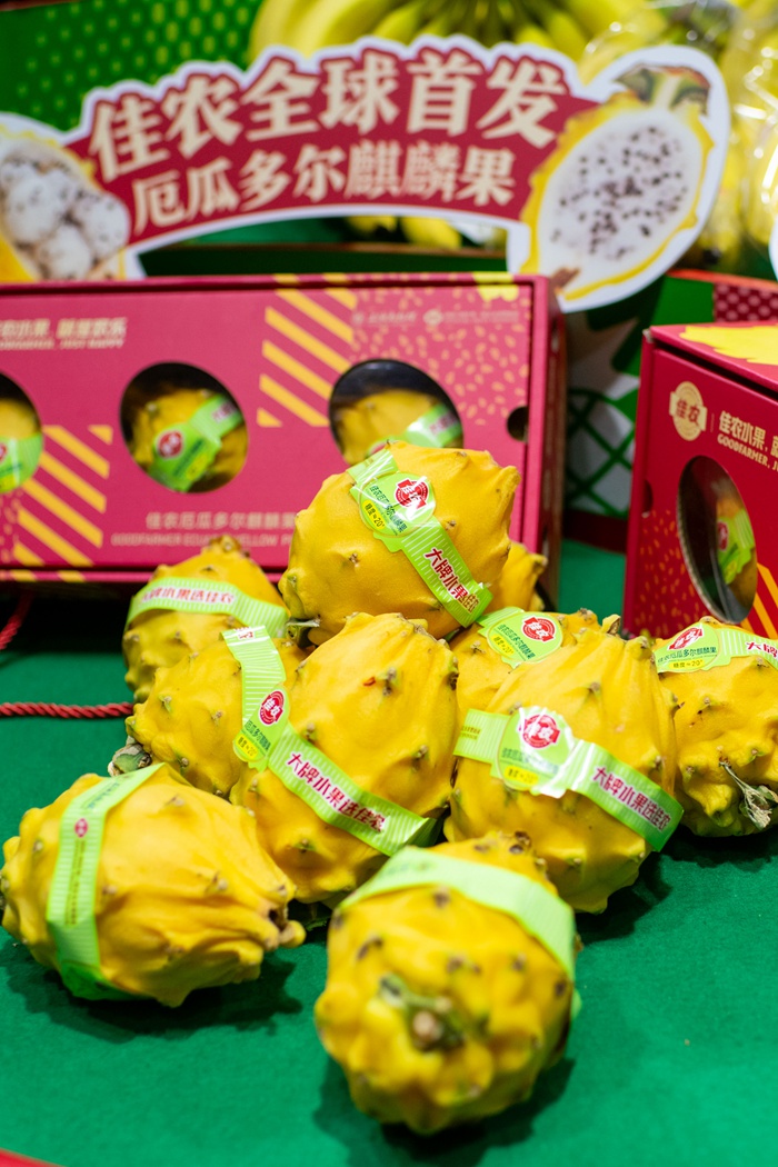 Warna-warni Produk Paparan CIIE ke-6