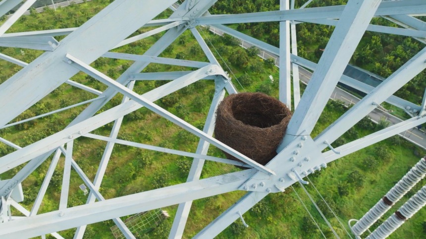 Rumah Burung di Menara Elektrik Chongqing