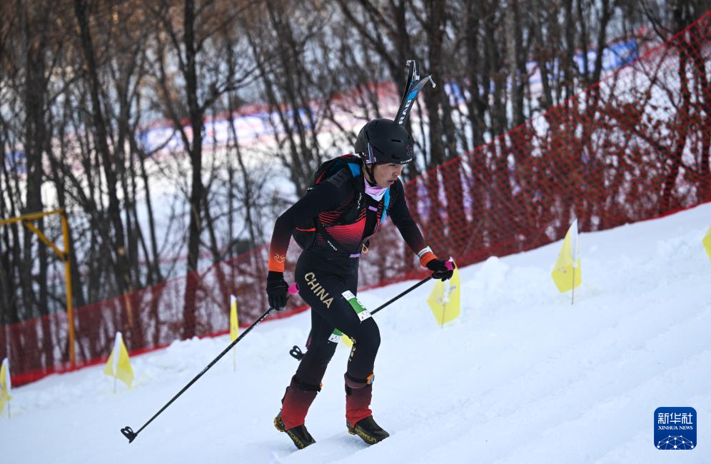 Dari Puncak Gunung ke Puncak Podium