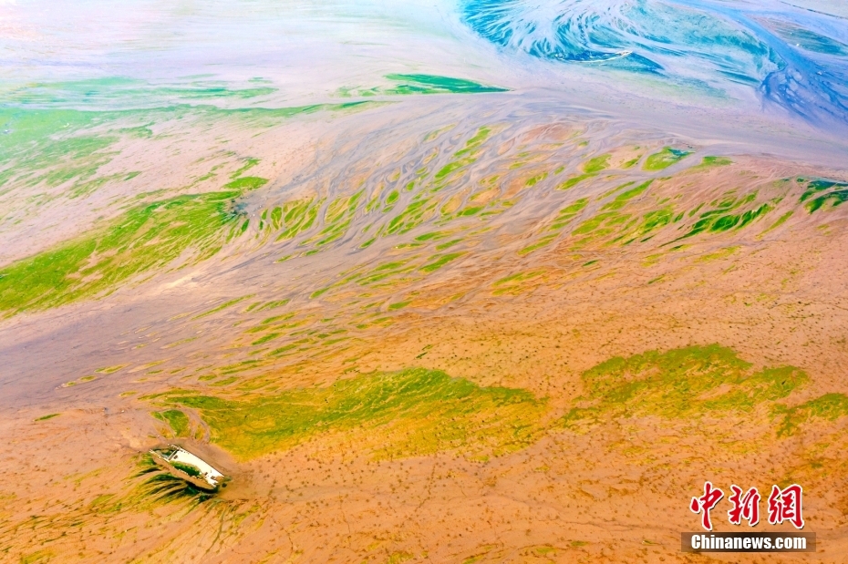 Pemandangan Musim Bunga Dasar Tasik Daye, Hubei