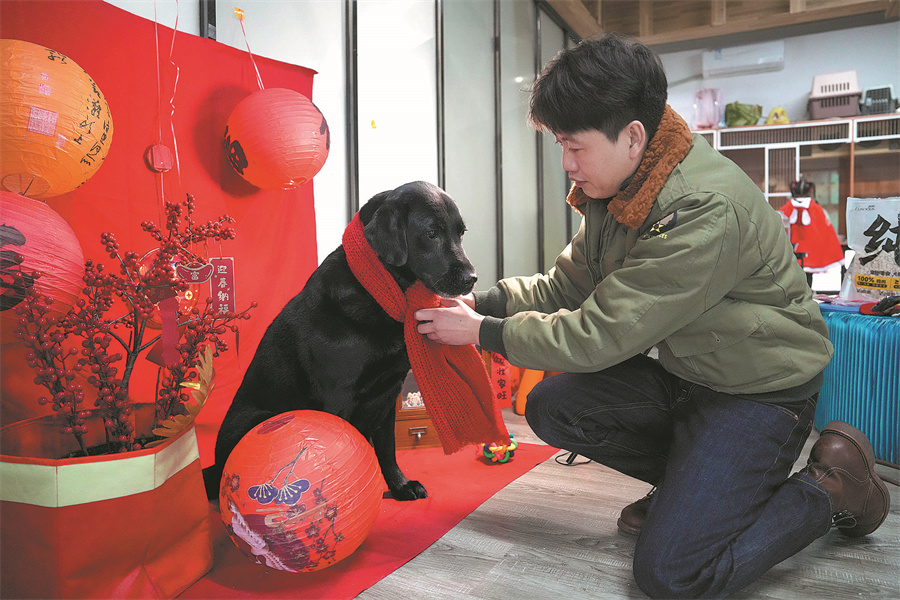 Hotel Haiwan Peliharaan Terima Sambutan Hangat Pada Musim Cuti