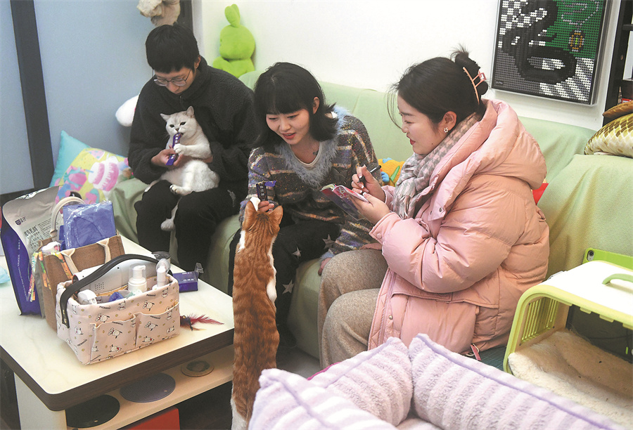 Hotel Haiwan Peliharaan Terima Sambutan Hangat Pada Musim Cuti