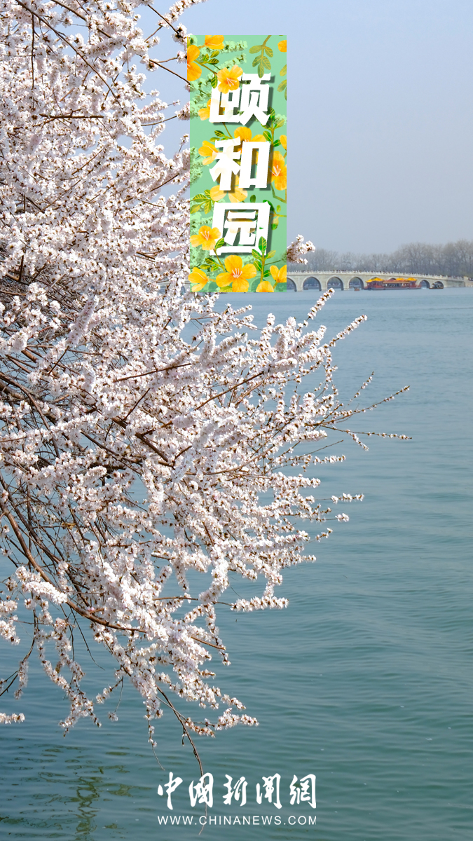 Lokasi Hayati Bunga di Beijing