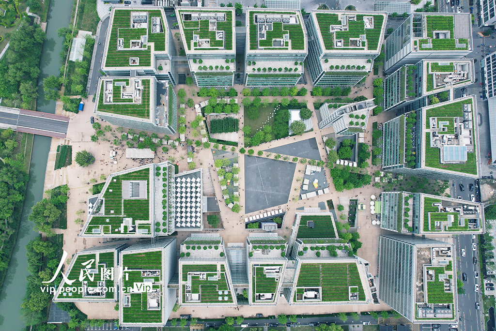 Konsep Taman Teh Bumbungan di Hangzhou Tarik Pengunjung