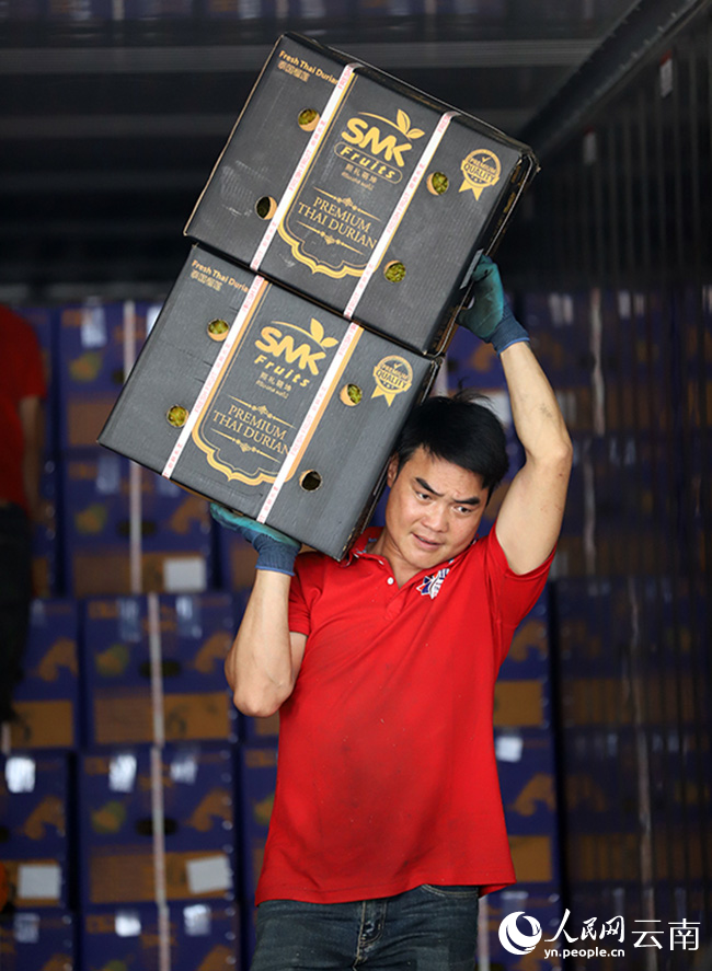 Gambar memperlihatkan seorang pekerja sedang membawa dua kotak durian dari Thailand di sebuah stesen kontena barangan angkut Kunming, di provinsi Yunnan, barat daya China. (People's Daily OnlineLi Faxing)