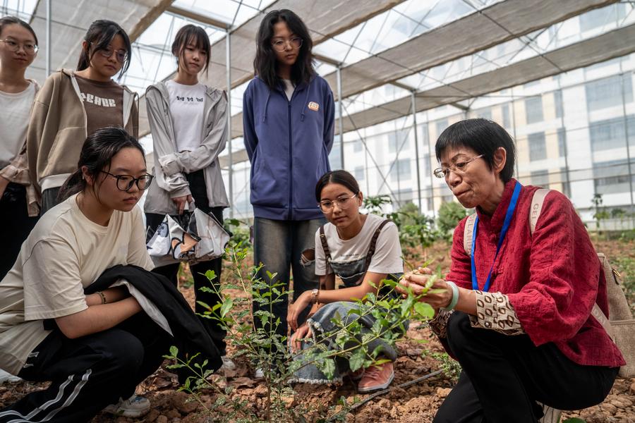 Pensyarah sedang memberi kuliah bertemakan kopi di Kolej Tumbuh-tumbuhan Tropika Universiti Pertanian Yunnan (YAU) di Bandar Pu’er, Provinsi Yunnan pada 10 September 2024. (Xinhua/Hu Chao)