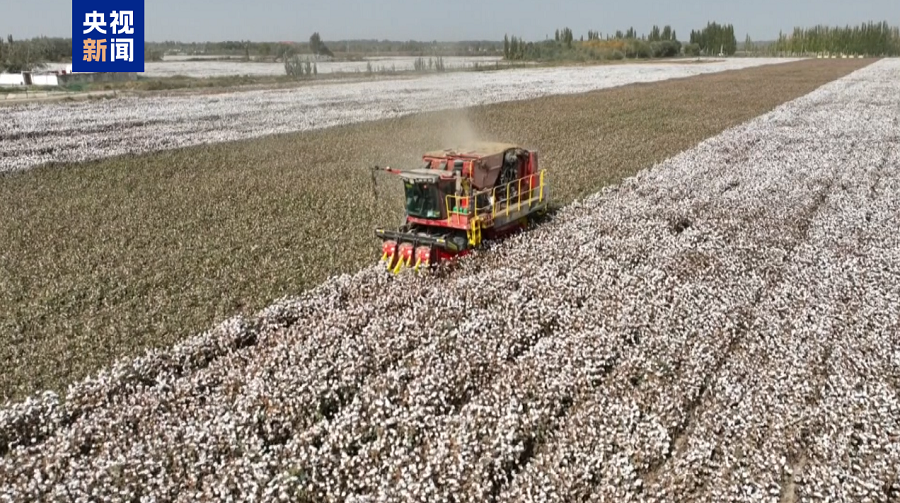 Kashgar Giat Majukan Rantaian Industri Kapas