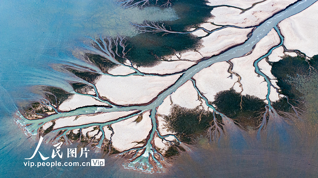 Pemandangan Udara Tasik Poyang Umpama Pokok