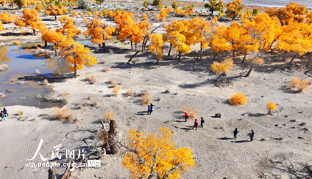 (vip.people.com.cn/Liu Donghua)