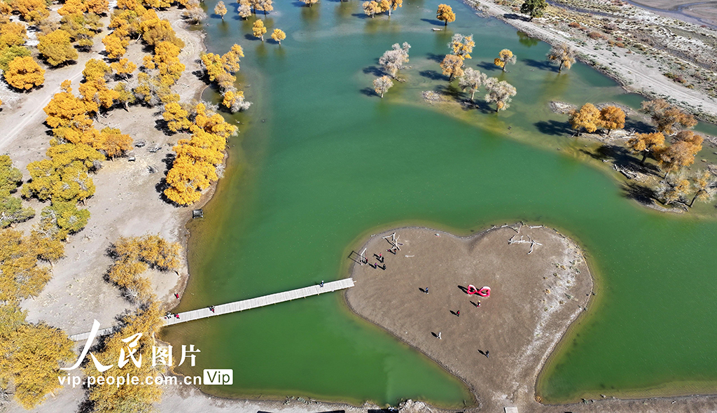 Pemandangan Hutan Emas di Mongolia Dalam