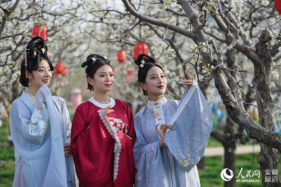 Peminat Hanfu berpakaian dan memanjakan diri di antara bunga pir di sebuah taman di Dangshan, Wilayah Anhui di timur China. (People’s Daily Online/Wang Xiaofei)