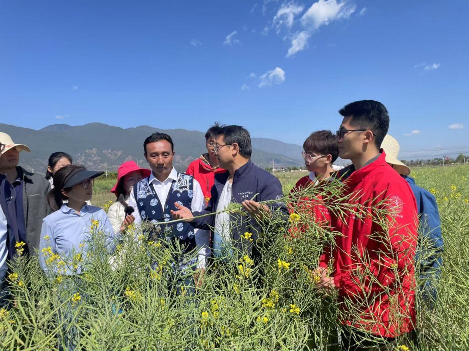 Foto Zhang Fusuo sedang memberi kuliah di sawah padi di kaunti Quzhou, Provinsi Hebei, utara China. (People’s Daily Online/Li Yihuan)