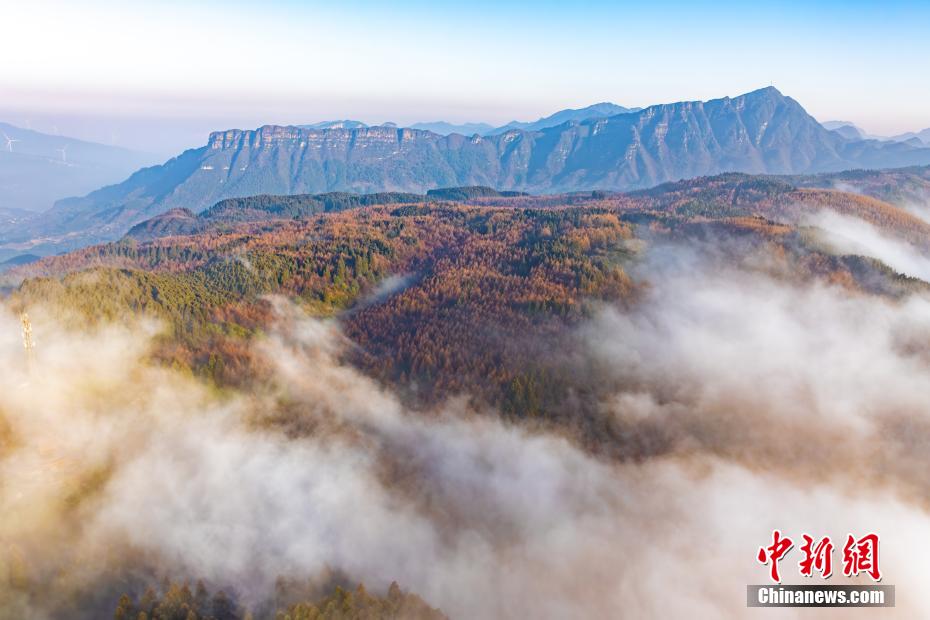 Gambar menunjukkan pemandangan lautan awan di Taman Ekologi Negara Karst Wangping di Gunung Nanchuan, Chongqing.