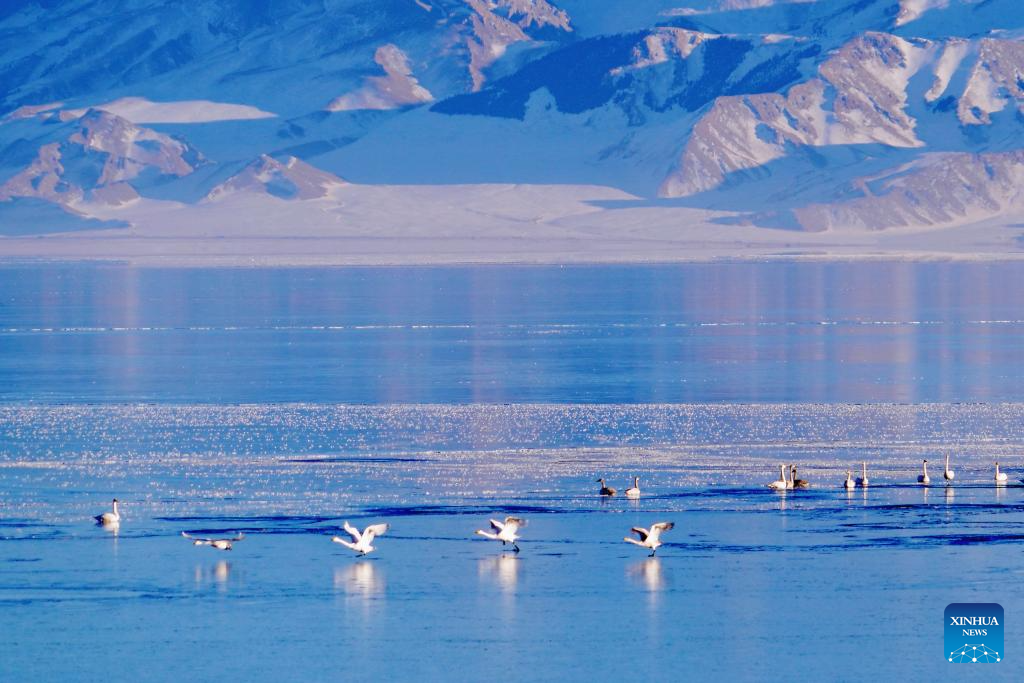 Foto ini memperlihatkan pemandangan Tasik Sayram di kawasan autonomi Mongol Bortala, Wilayah Autonomi Uygur Xinjiang, barat laut China, 14 Januari 2025. (Xinhua/Du Juanjuan)