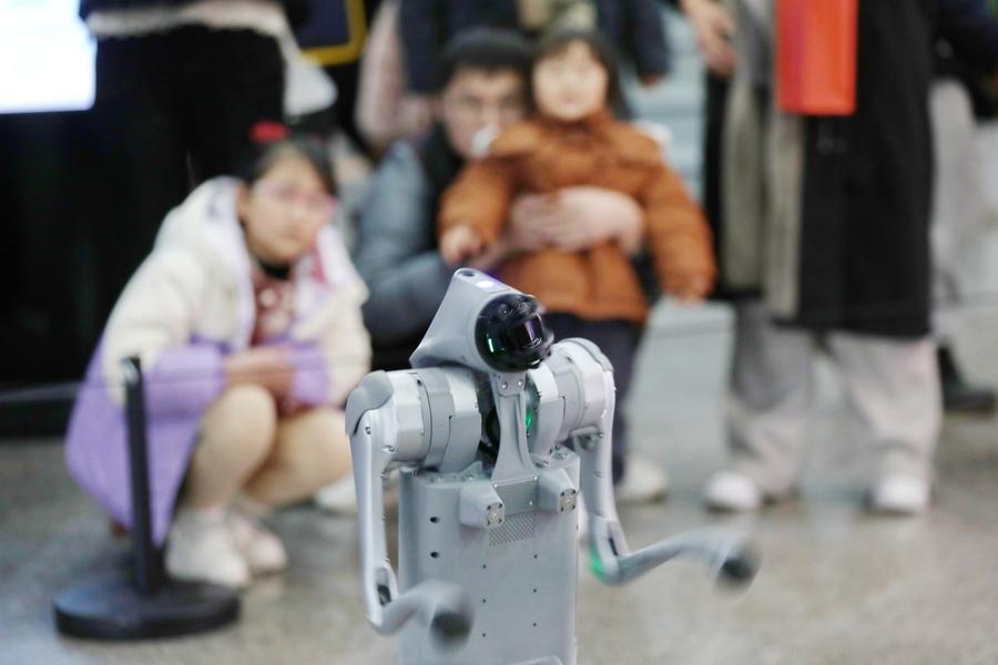 Pengunjung sedang menyaksikan persembahan oleh satu anjing robot di muzium sains dan teknologi di Bandar Jiaxing, Provinsi Zhejiang, di timur China pada 31 Januari 2025. (Xinhua/Jin Peng)