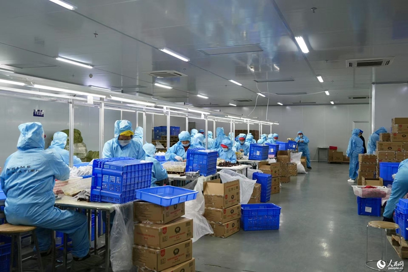 Para pekerja sedang membungkus patung figura bertemakan Ne Zha. (People’s Daily Online/Liu Shan)