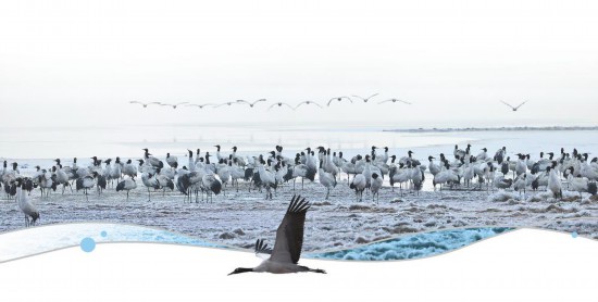 Pemandangan di Rizab Alam Semula Jadi Kebangsaan Dashanbao Yunnan untuk Burung Jenjang Leher Hitam yang terletak di bandar Zhaotong, Provinsi Yunnan, barat daya China. (Foto oleh Yunnan Daily)