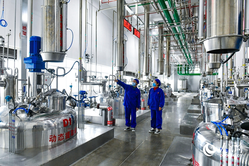 Pekerja sedang bekerja di bengkel pengeluaran butiran formula di kilang Zhongjing Wanxi Pharmaceutical di kaunti Xixia, bandar Nanyang, di Provinsi Henan. (People’s Daily Online/Cheng Minghui)