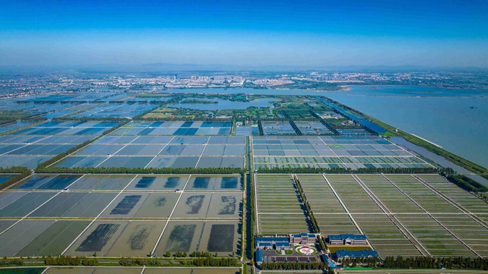 Foto sudut udara memaparan kawasan pembiakan ketam di daerah Gaochun. (Ihsan pusat media gabungan daerah Gaochun)