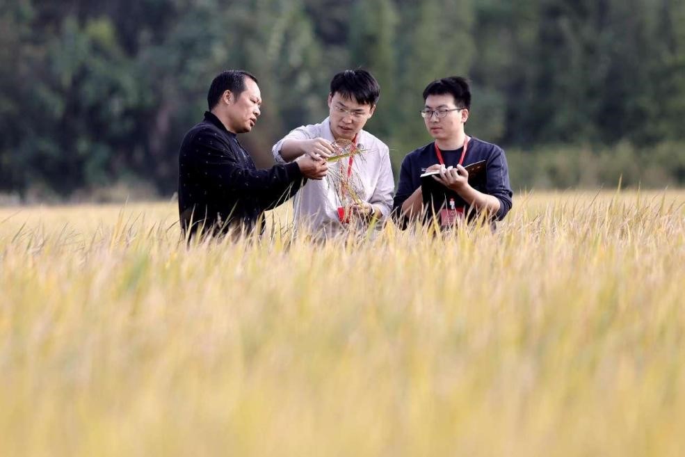 Seorang ahli majlis perundangan mengumpulkan cadangan terhadap dasar tanah ladang di Ji’an, Provinsi Jiangxi, timur China pada 25 Oktober 2024. (People’s Daily Online/Chen Fuping)