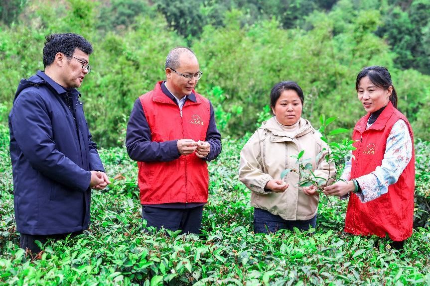 Dua ahli majlis perundangan NPC (yang memakai rompi merah) sedang mengadakan lawatan di kampung Tangping, kaunti Cangwu, Wilayah Autonomi Zhuang Guangxi pada 21 Februari 2025. (People’s Daily Online/Yan Guihai)
