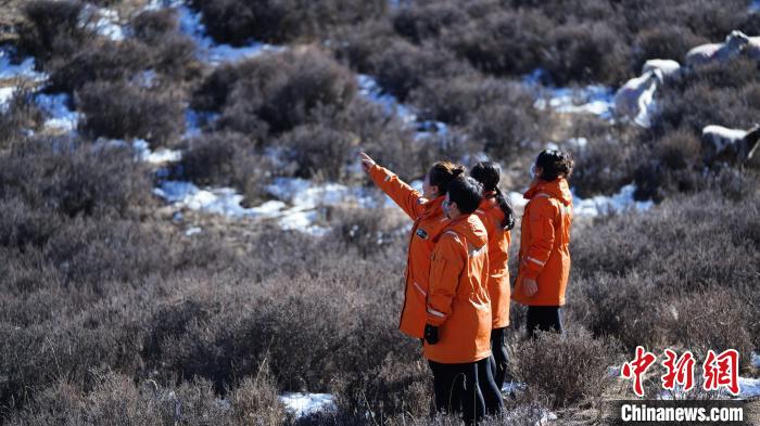 Tie Wanmei, (dua dari kiri) renjer hutan di stesen perlindungan dan pengurusan Shimen di bawah Pusat Perlindungan Rizab Alam Semula Jadi Kebangsaan Gunung Qilian Gansu. (Foto ihsan stesen perlindungan dan pengurusan Shimen di bawah Pusat Perlindungan Rizab Alam Semula Jadi Kebangsaan Gunung Qilian Gansu)