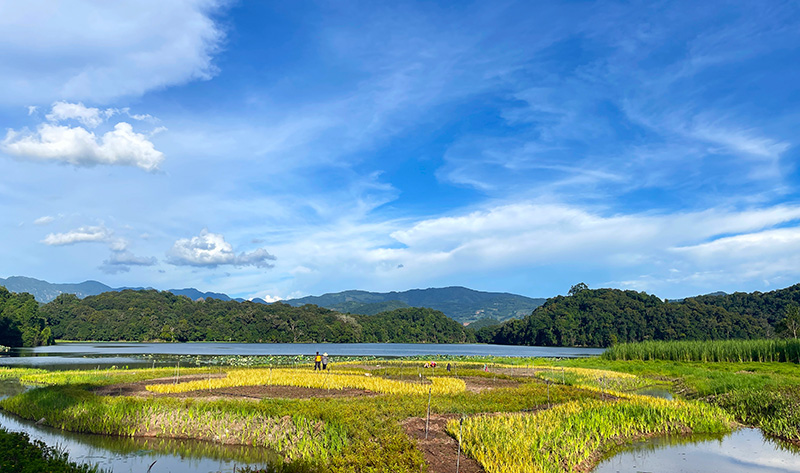 Foto memaparkan pemandangan di Kaunti Autonomi Wa Ximeng di bandar Pu’er di Provinsi Yunnan. (People’s Daily Online/Ou Nanhan)