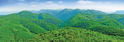 Foto memperlihatkan Rizab Alam Semula Jadi Kebangsaan Rusa Jepun Taohongling di kaunti Pengze, Provinsi Jiangxi di timur China. (Foto ihsan pusat media gabungan Jepun kaunti Pengze)