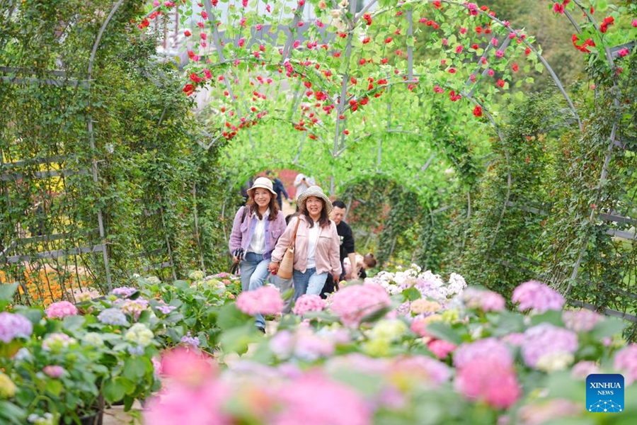 Pelancong melawat sebuah taman pertanian di bandar Chongqing, barat daya China, 6 April 2025. (Foto oleh Qin Tingfu/Xinhua)