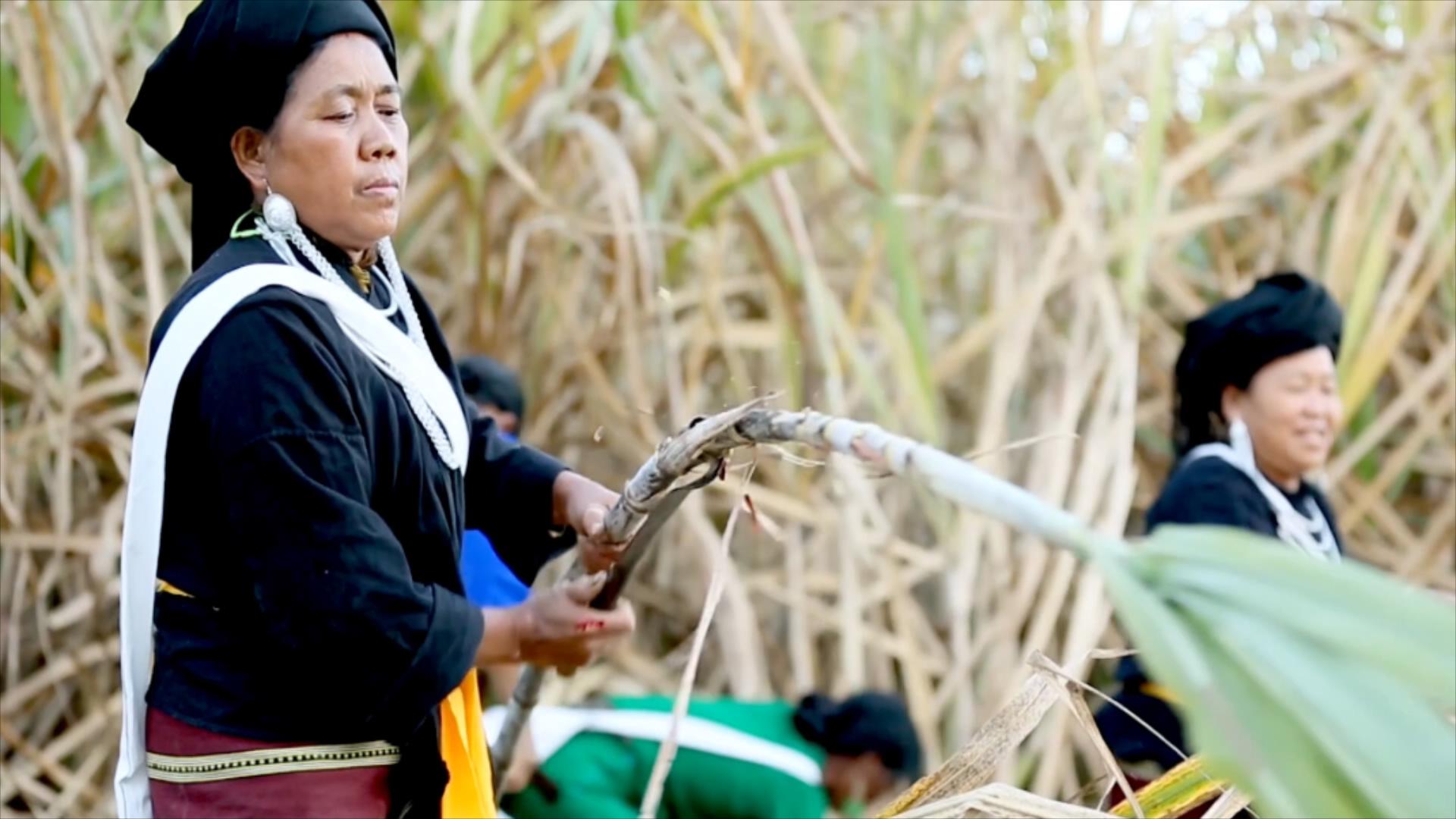 (Foto oleh People’s Daily Online)