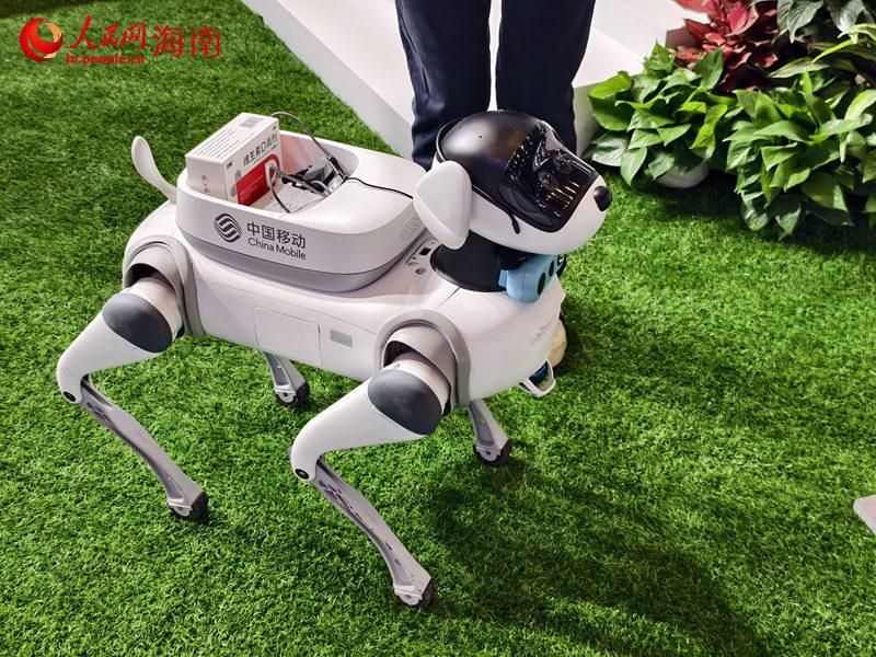 Produk Teknologi Termaju, AI, Bersinar di CICPE ke-5