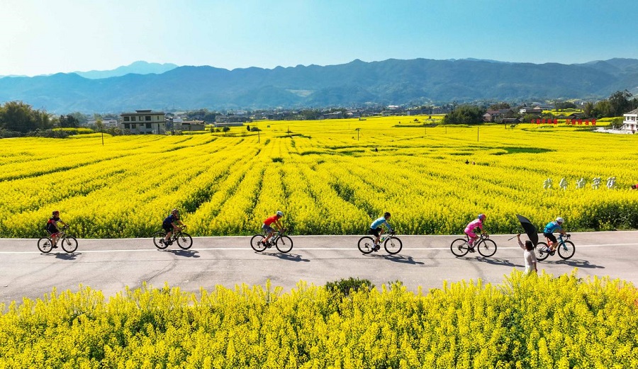 Foto pengayuh basikal sedang berbasikal melalui jalan yang diapit oleh lautan bunga di kampung Libai, kaunti Dianjian, perbandaran Chongqing, di barat daya China pada 25 Mac 2025. (People's Daily Online/Gong Changhao)