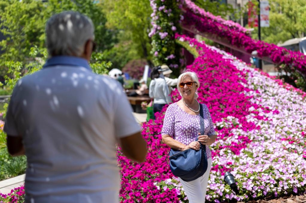 Seorang pelancong bergambar dengan berlatarbelakangkan bunga semasa Pameran Bunga Antarabangsa Shanghai 2025 di Daerah Huangpu, Shanghai di timur China pada 18 April 2025. (Xinhua/Wang Xiang)