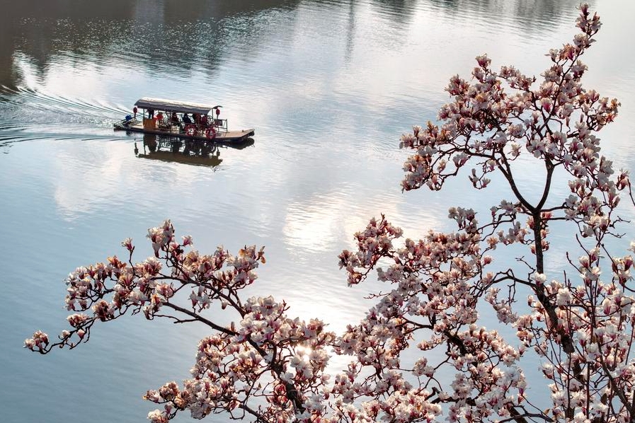 Foto sudut udara yang diambil menggunakan dron pada 6 Mac 2025 ini memperlihatkan pelancong bersiar-siar di atas bot di Sungai Xin’an di Kaunti Shexian, Bandar Huangshan, Provinsi Anhui di timur China. (Xinhua/Shi Yalei)