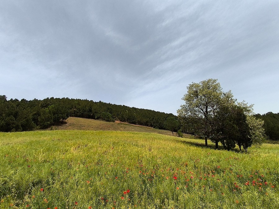 Seni Seramik Beri Nafas Baharu Buat Luoyang