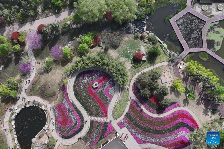 Foto sudut udara yang diambil menggunakan dron pada 10 April 2025 ini memperlihatkan pemandangan Taman Botani Xi’an yang terletak di Provinsi Shaanxi di barat laut China. (Xinhua/Zhang Bowen)