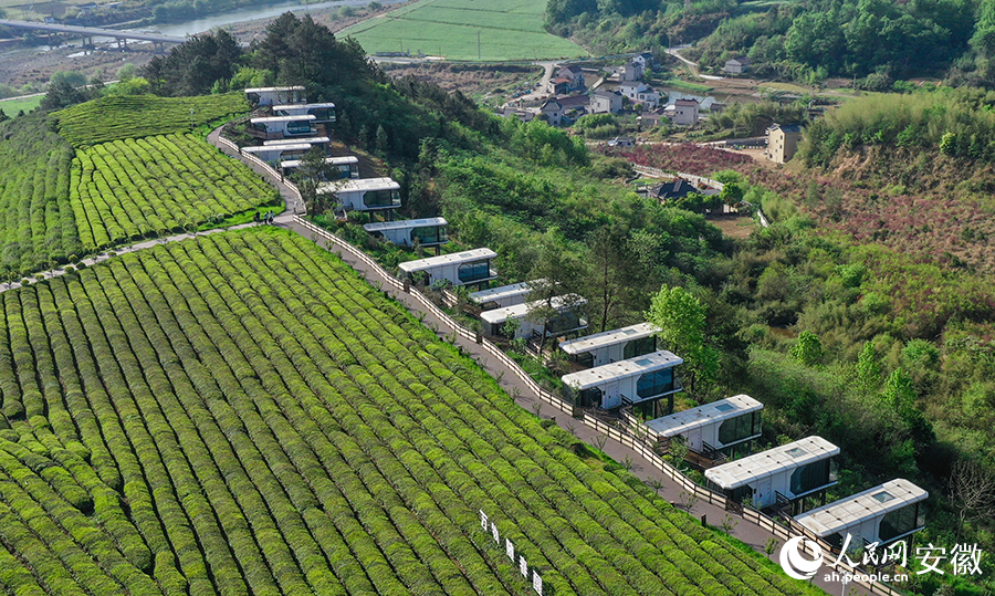 Foto memaparkan pemandangan indah kebun teh dan hotel B&B di kampung Luxi, pekan Sanxi, kaunti Jingde, bandar Xuancheng di Provinsi Anhui, timur China. (People’s Daily Online/Zhang Jun)
