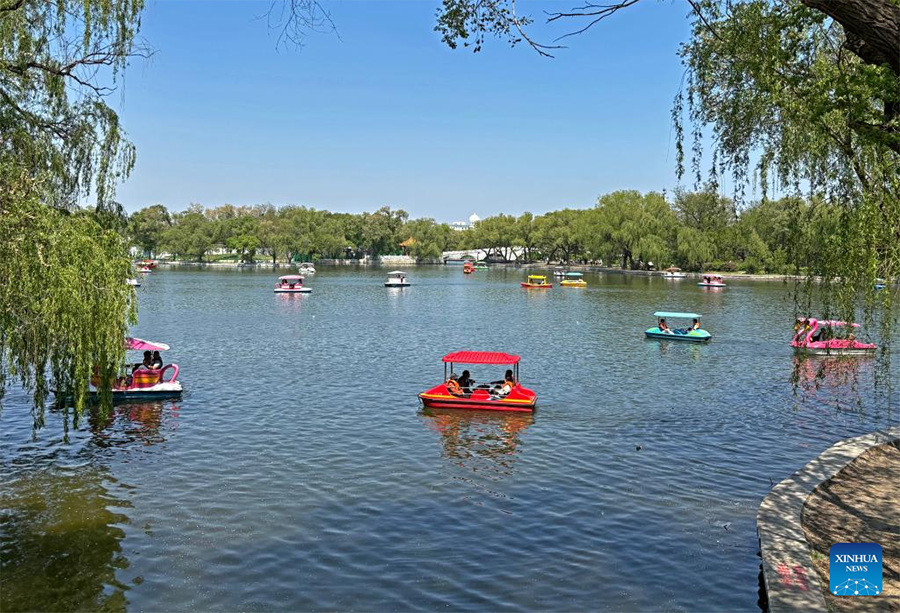 Penduduk tempatan mengayuh perahu di Taman Beiling, Shenyang, provinsi Liaoning, timur laut China, 11 Mei 2025. (Xinhua/Zhou Hua)